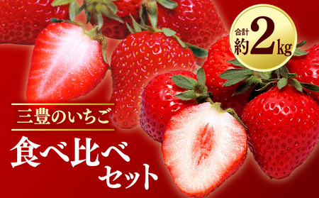 【年内発送】三豊のいちご食べ比べセット 約2kg