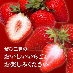 【年内発送】三豊のいちご食べ比べセット 約2kg
