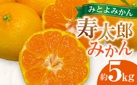【みとよみかん】 寿太郎みかん 約5kg