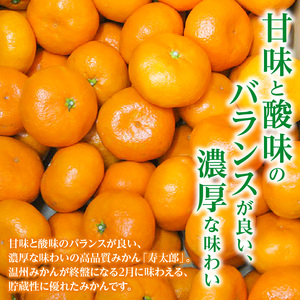 【みとよみかん】 寿太郎みかん 約5kg