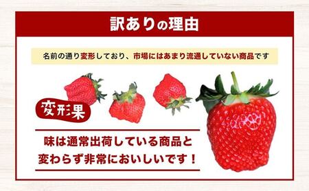 【配送エリア限定商品】＜訳あり・大粒＞小豆島産　変形果いちご　1.4kg