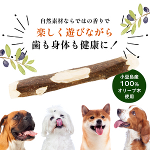 小豆島産オリーブの犬用はみが木　M(中型犬用)　3袋