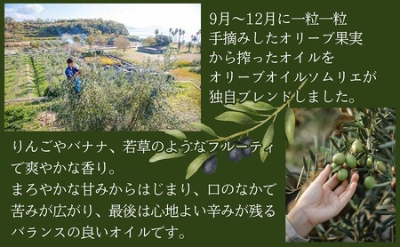【 小豆島 】 小豆島産 食用 エクストラバージン オリーブオイル 1本入 手摘み オリーブ オイル 油 オリーブ油 食用油 調味料 ヘルシー 健康 香川 香川県 土庄 土庄町
