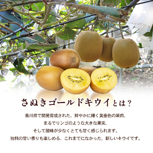 さぬきゴールドキウイ 約2.8kg