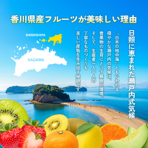 【 小豆島 】 ハウスデコポン 約2.8kg 化粧箱 柑橘 デコポン 不知火 果物 フルーツ ハウス くだもの 国産 香川 香川県 土庄 土庄町