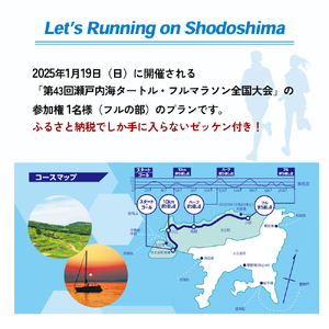 第43回瀬戸内海タートル・フルマラソン全国大会参加権 1名様（フルの部） マラソン 瀬戸内 小豆島 フル  参加権 タートルマラソン 土庄