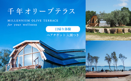 【 小豆島 】千年オリーブテラス for your wellness 日帰り体験 （入園つき） ペアチケット マインドフルネス体験 体験 体験チケット 旅行 旅 オリーブテラス 日帰り チケット ペア 香川 香川県 土庄 土庄町