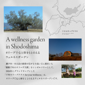 千年オリーブテラス for your wellness　オリーブオイルテイスティング講座（入園つき）ペアチケット オリーブオイル 体験 体験チケット オリーブテラス ペア 小豆島