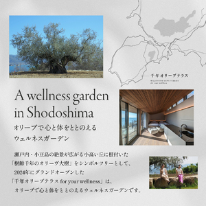 【 小豆島 】千年オリーブテラス for your wellness 「The STAY」 ペアチケット 夕朝食つき 宿泊券 旅行 旅 オリーブテラス オリーブ 宿泊 食事 チケット 泊まる ペア 睡眠浴 香川 香川県 土庄 土庄町