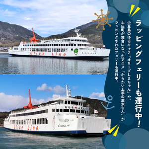 小豆島への旅行に！フェリー往復チケット（乗用車+同乗者1名）【高松港～土庄港】 フェリー 乗船券 往復 船 船旅 土庄 チケット 瀬戸内海