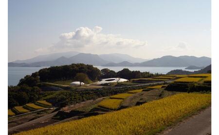 【 小豆島 】豊島美術館模型  美術館 グッズ 模型 豊島 てしま 香川 香川県 土庄 土庄町