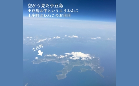 小豆島オリーブ 100%小豆島産三代松家オリーブの新漬け 80g 2袋