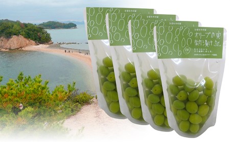 小豆島 オリーブの実 新漬け 4袋 セット 詰め合わせ オリーブ オリーブのみ おつまみ つまみ グリーンオリーブ 前菜 食品 香川 香川県 土庄町