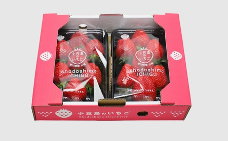 【 小豆島 】【3月からの発送】小豆島のいちご(女峰)DXパック (250g×2パック入り) 果物類 苺 イチゴ