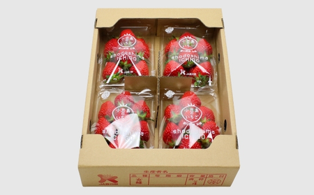 【 小豆島 】【3月からの発送】小豆島のいちご(女峰)230g×4パック 果物類 苺 イチゴ