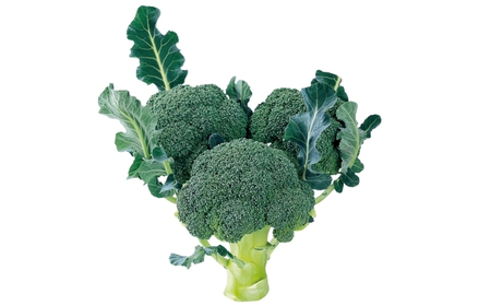 訳ありブロッコリー　約4.5kg（サイズおまかせ）