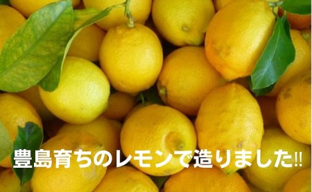豊島で育ったレモンのアイスクリーム 6個 スイーツ お菓子