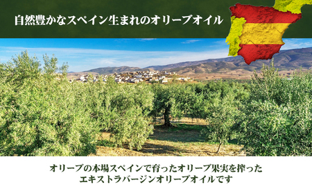 エキストラバージンオリーブオイル　初秋　500ml　3本セット 食用油/オリーブオイル 食用 