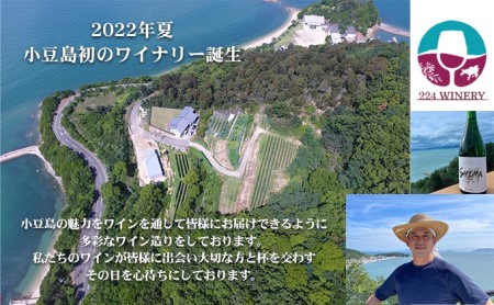 小豆島醸造【赤ワイン】メルロー　2022年　1本