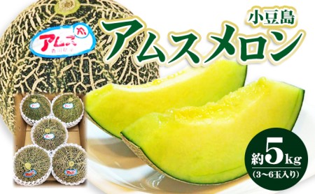 【 小豆島 】小豆島 アムスメロン 約5kg 果物 フルーツ メロン めろん くだもの 国産 香川 香川県 土庄 土庄町