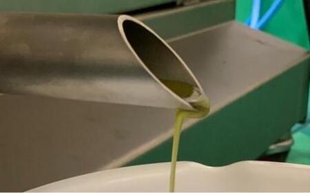 【ギフト用】金両緑油 小豆島産プレミアムエキストラバージンオリーブオイル【ブレンド】