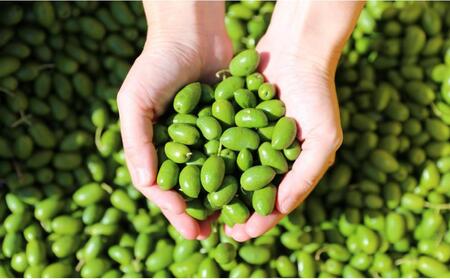 【井上誠耕園】~2025年初搾り~ 小豆島産手摘み緑果オリーブオイル (135g×5本)