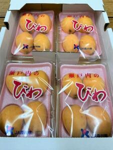 【さぬき讃フルーツ】びわ なつたより 約1kg(約250g×4)×2箱