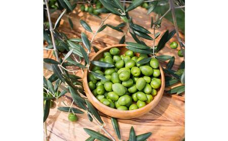 小豆島産 手延べオリーブパスタ 200g×12個セット