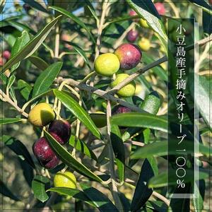 【ギフト用】小豆島産100%エキストラバージン (EXV) オリーブオイル (単品) 150ml×3本