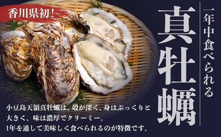 小豆島 天領真牡蠣 (殻付き加熱用) 25個セット