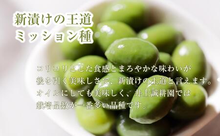 【井上誠耕園】～2025年とれたて～ 新漬けオリーブ ミッション種 80g×3袋