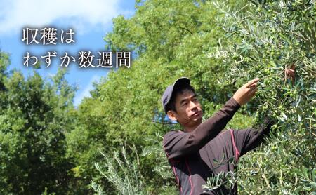 【井上誠耕園】～2025年とれたて～ 新漬けオリーブ ミッション種 80g×5袋