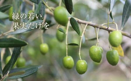 【井上誠耕園】～2025年とれたて～ 新漬けオリーブ ミッション種 80g×7袋