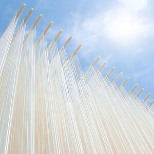 小豆島手のべ半生オリーブそうめん 単品3袋 (180g×3袋)