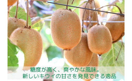 香緑 キウイフルーツ 3kg(化粧箱)