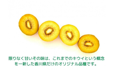 さぬきゴールド キウイフルーツ 900g