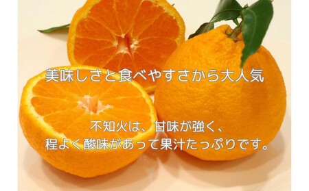 ハウス不知火 2.7kg