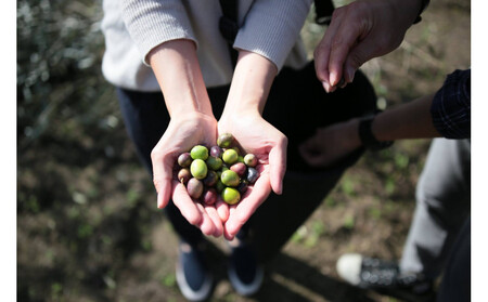 【小豆島産ブレンド】ピュアオリーブオイル1本