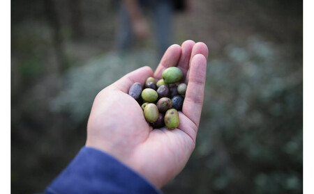 【小豆島産ブレンド】ピュアオリーブオイル3本