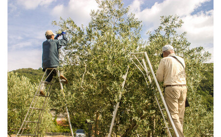 小豆島産エキストラバージンオリーブオイルと生搾醤油・調味料の詰め合わせ