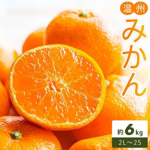 温州みかん 約6kg