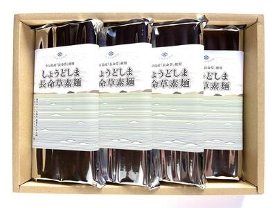 【石井製麺所】しょうどしま長命草そうめん　24束