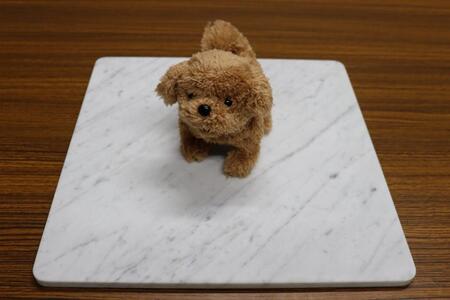 大理石ペットひんやりボード　40cm×40cm