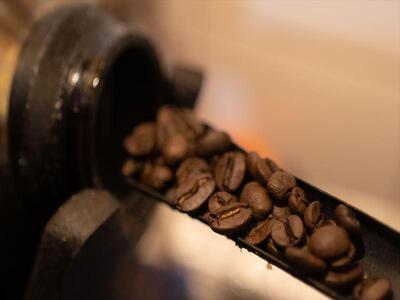 タコのまくらオリジナル ブレンド珈琲 詰め合わせ(豆)150gx3 (オオアリクイのあくび・きりんのゆめ・8時15分)