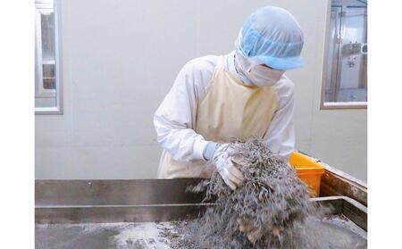 安田の塩こんぶ　バラエティセット