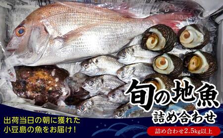 小豆島から直送！朝獲れ鮮魚 旬の地魚詰め合わせ 2.5kg以上