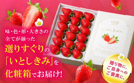 あぐりぼん　いちご「女峰」【贈答用】いとしきみ化粧箱　約400g（15～18粒）| いちご 果物 フルーツ デザート ストロベリー 果肉 スイーツ 甘い 国産 贈り物 贈答 プレゼント グルメ 人気 おすすめ 季節 旬 旬の果物 香川県 三木町 送料無料|_mk144-001
