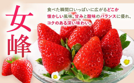 あぐりぼん　いちご「女峰」【贈答用】いとしきみ化粧箱　約400g（15～18粒）| いちご 果物 フルーツ デザート ストロベリー 果肉 スイーツ 甘い 国産 贈り物 贈答 プレゼント グルメ 人気 おすすめ 季節 旬 旬の果物 香川県 三木町 送料無料|_mk144-001