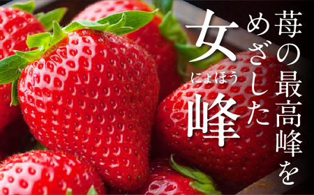 NATSUMI ICHIGO 女峰 約600g以上(2026年1月~6月配送) いちご フルーツ 果物 _mk060-002