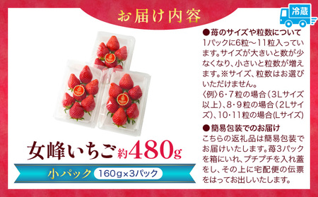 【苺ファーム森本】女峰いちご 小パック160g×3パック ≪IDOMALL セレクト≫|スイーツ いちご ストロベリー 女峰 苺 ジャム いちごジャム フルーツ 旬 果物 香川県 デザート 青果物 贈答 プレゼント 贈り物 おすすめ|_mk048-011